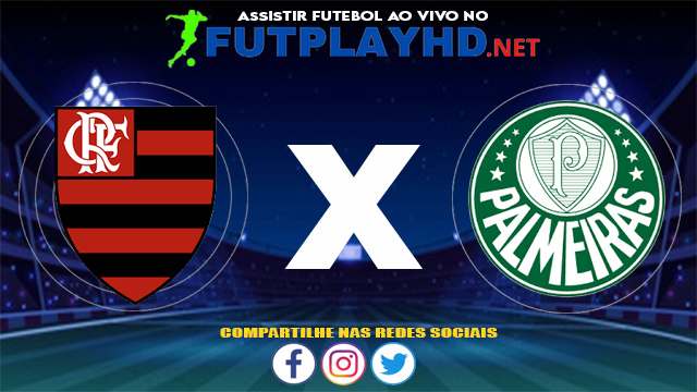 Assistir Flamengo X Palmeiras AO VIVO Online 30/05/2021