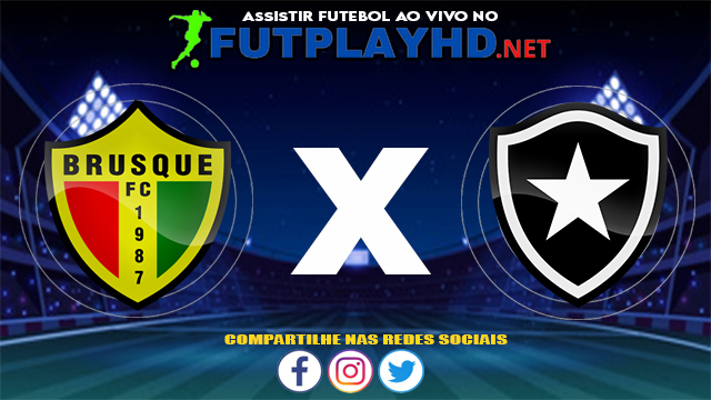 Assistir Brusque X Botafogo AO VIVO Online 17/07/2021