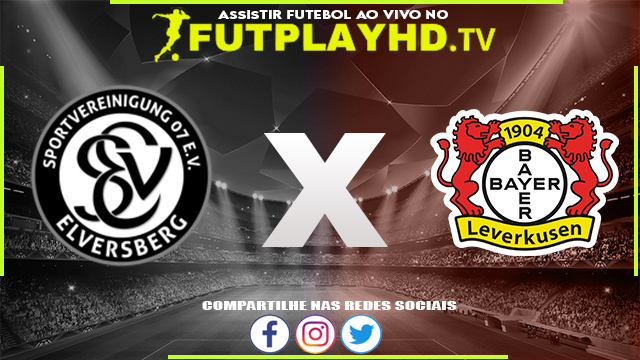 Assistir Elversberg x Bayer Leverkusen AO VIVO Online 30/07/2022