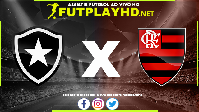 Assistir Botafogo x Flamengo AO VIVO Online 28/08/2022