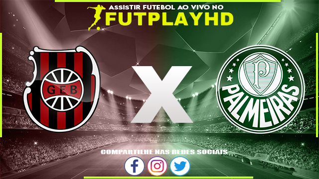 Assistir Brasil de Pelotas x Palmeiras AO VIVO Online 02/10/2022