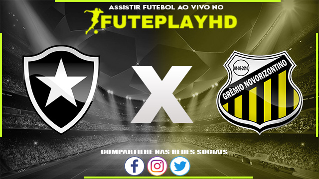 Assistir Botafogo x Novorizontino AO VIVO Online 12/01/2024