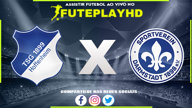 Assistir Hoffenheim x Darmstadt 98 AO VIVO Online 19/12/2023